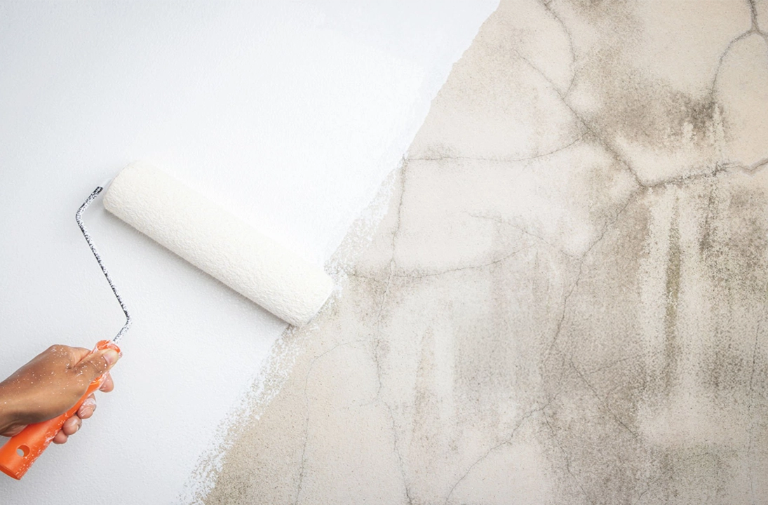Painting | DC Renovations in Glasgow, Edinburgh, Aberdeen,